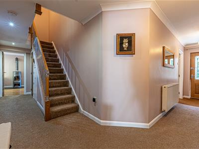 Picture 31